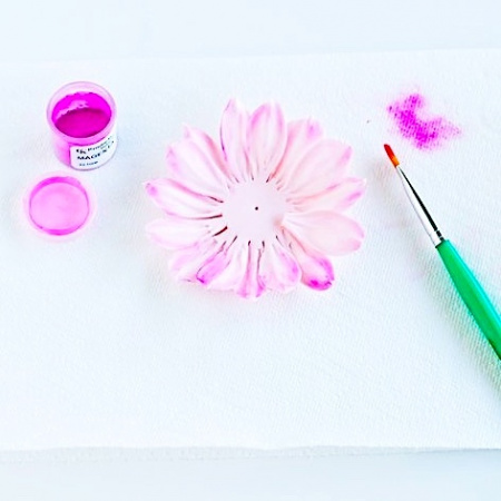 Пищевой краситель цветочная пыльца Коралловая 5 гр.