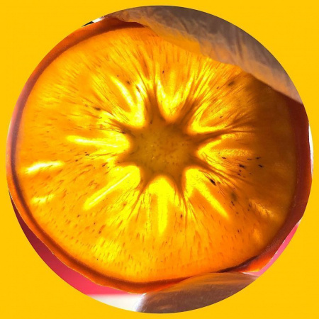 Хурма сушеная колечками фруктовые чипсы (слайсы) от 30 г.